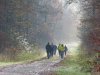 Bildergalerie 2019-Walking 23.11.2019